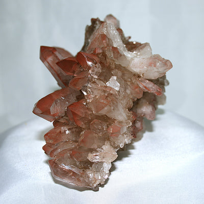 Pink Lemurian