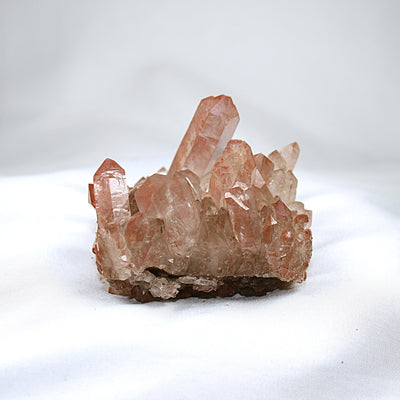 Pink Lemurian