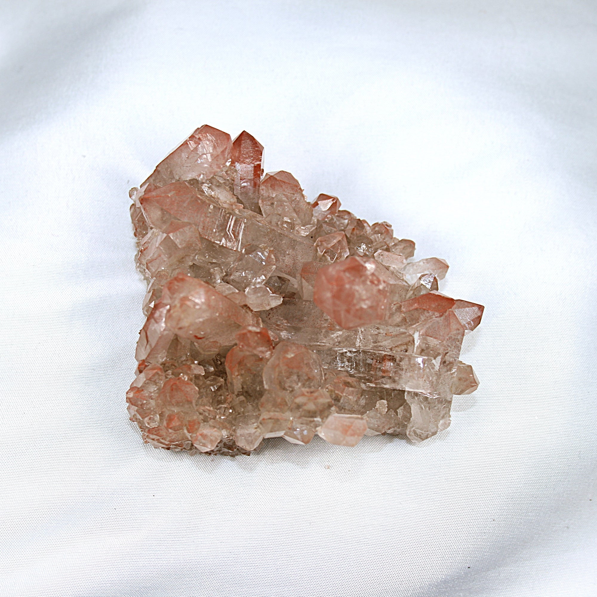 Pink Lemurian
