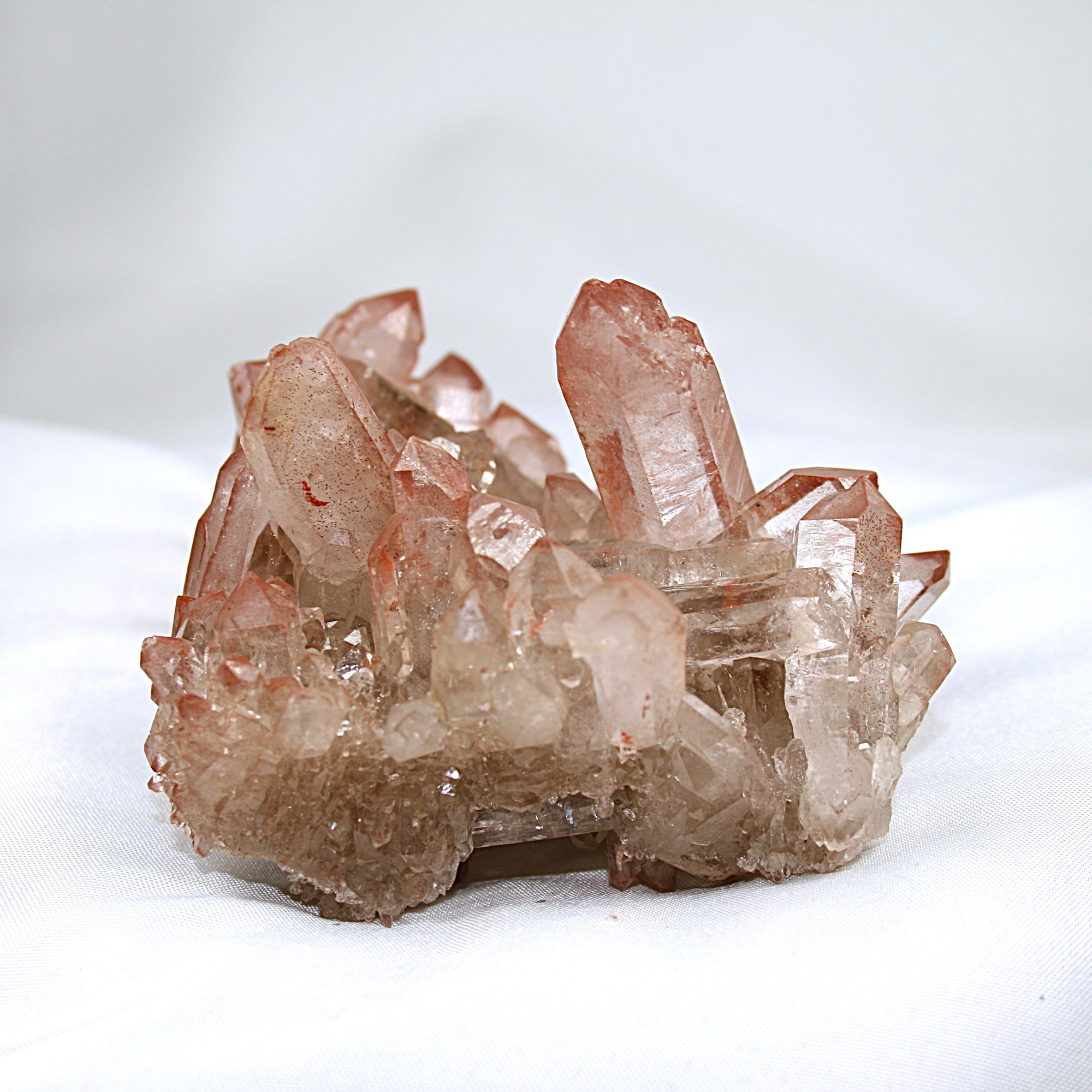 Pink Lemurian