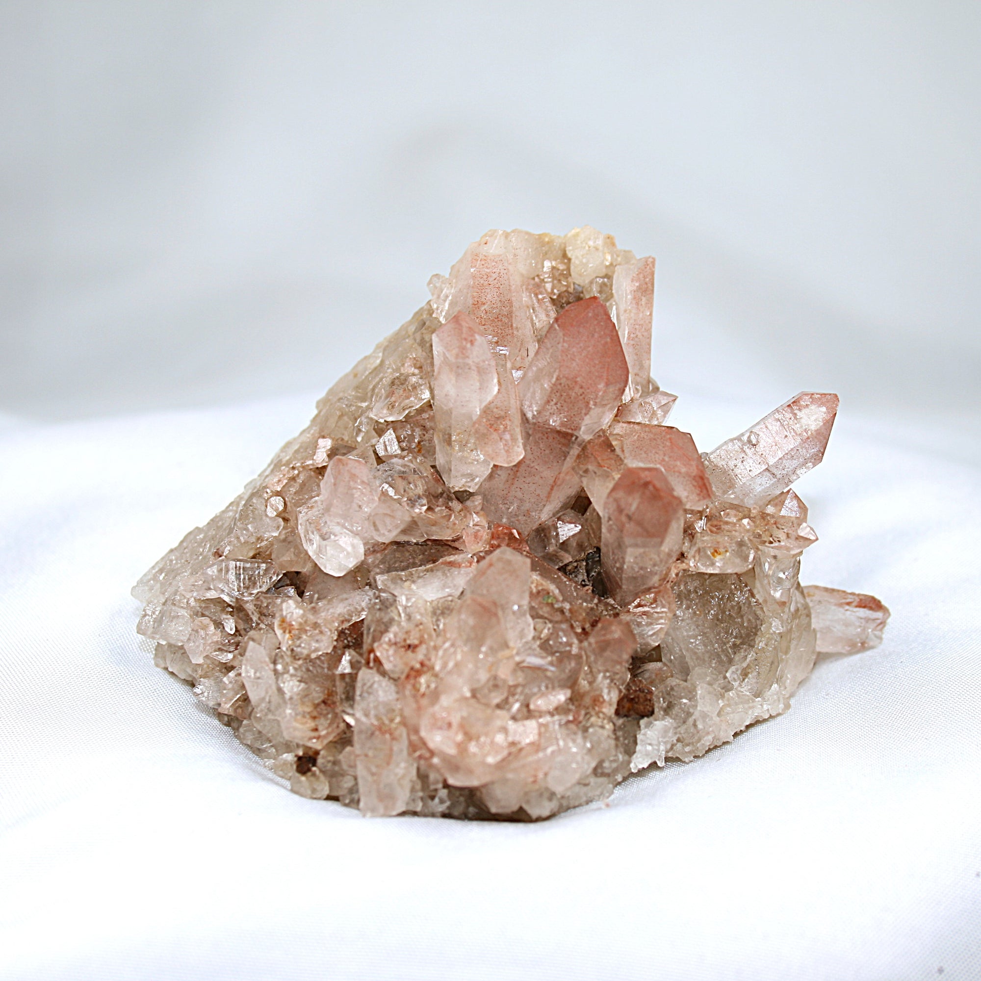 Pink Lemurian