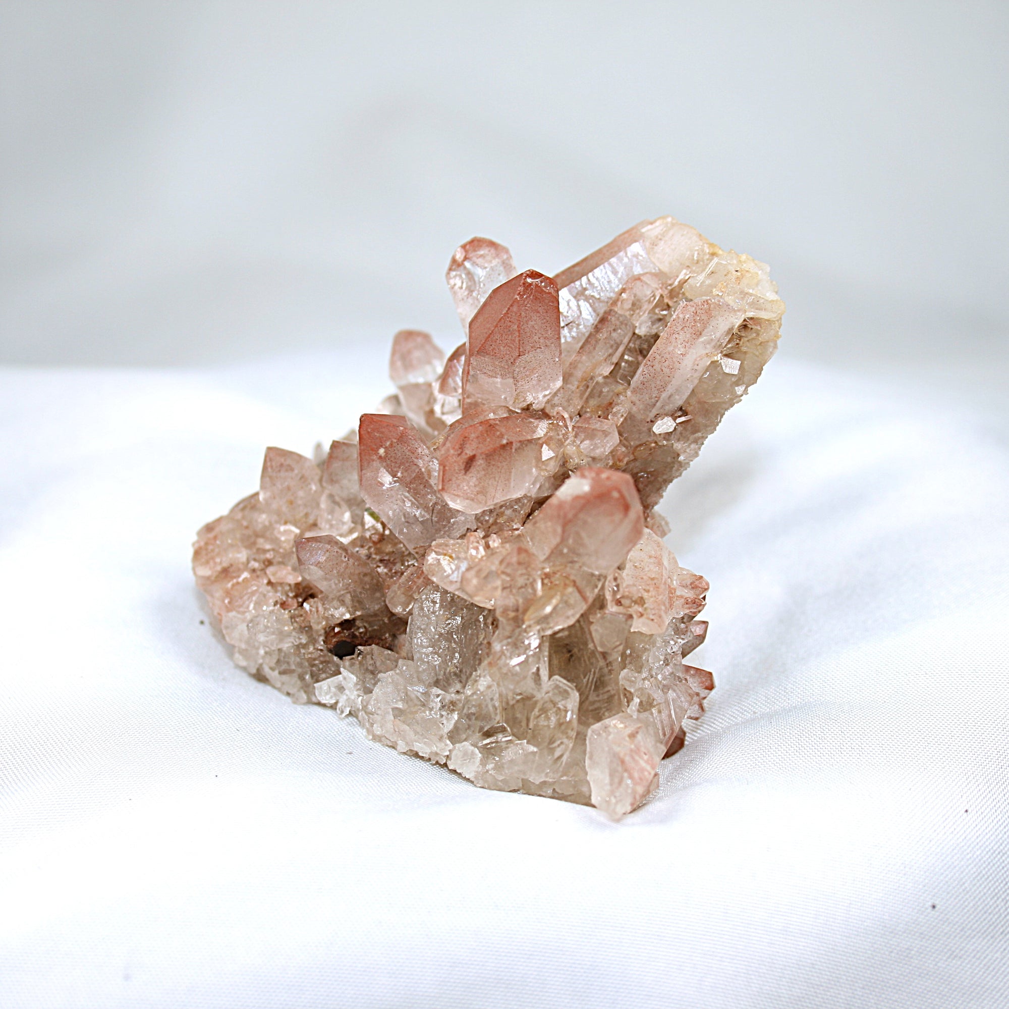 Pink Lemurian