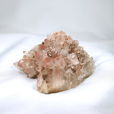 Pink Lemurian