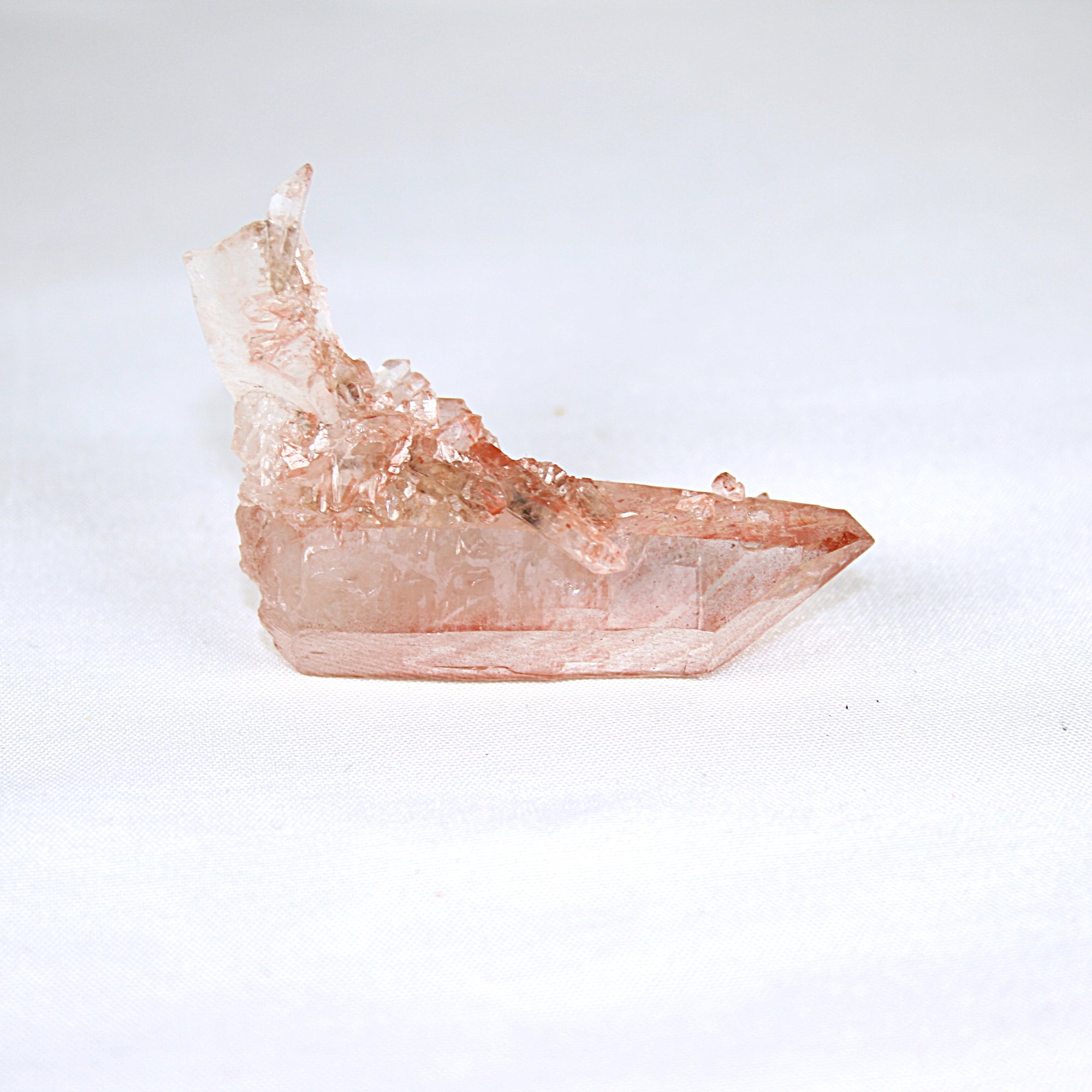 Pink Lemurian