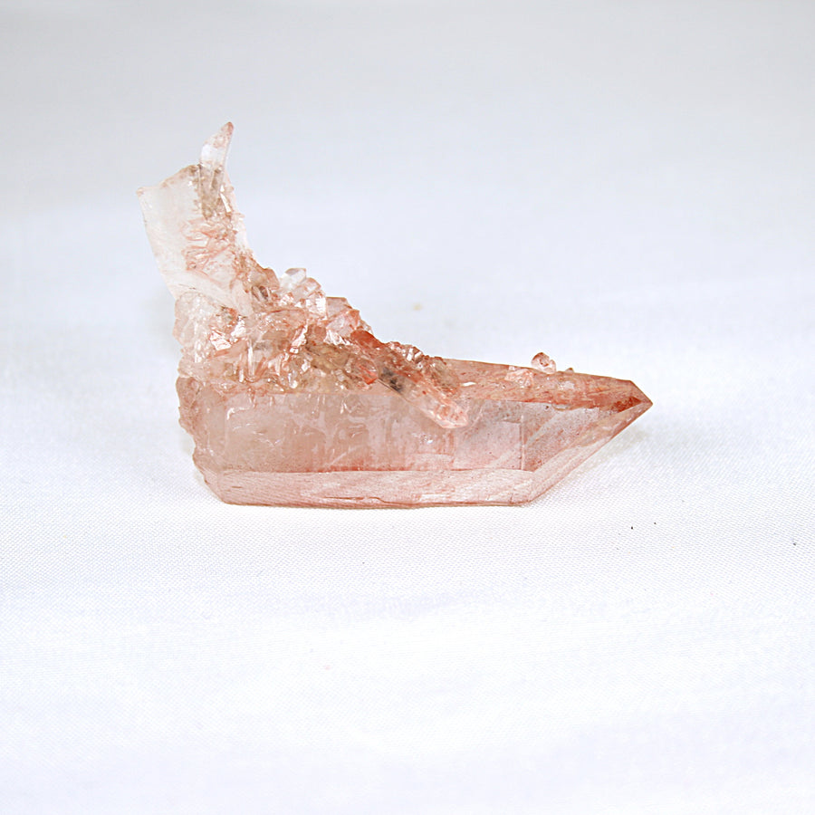 Pink Lemurian