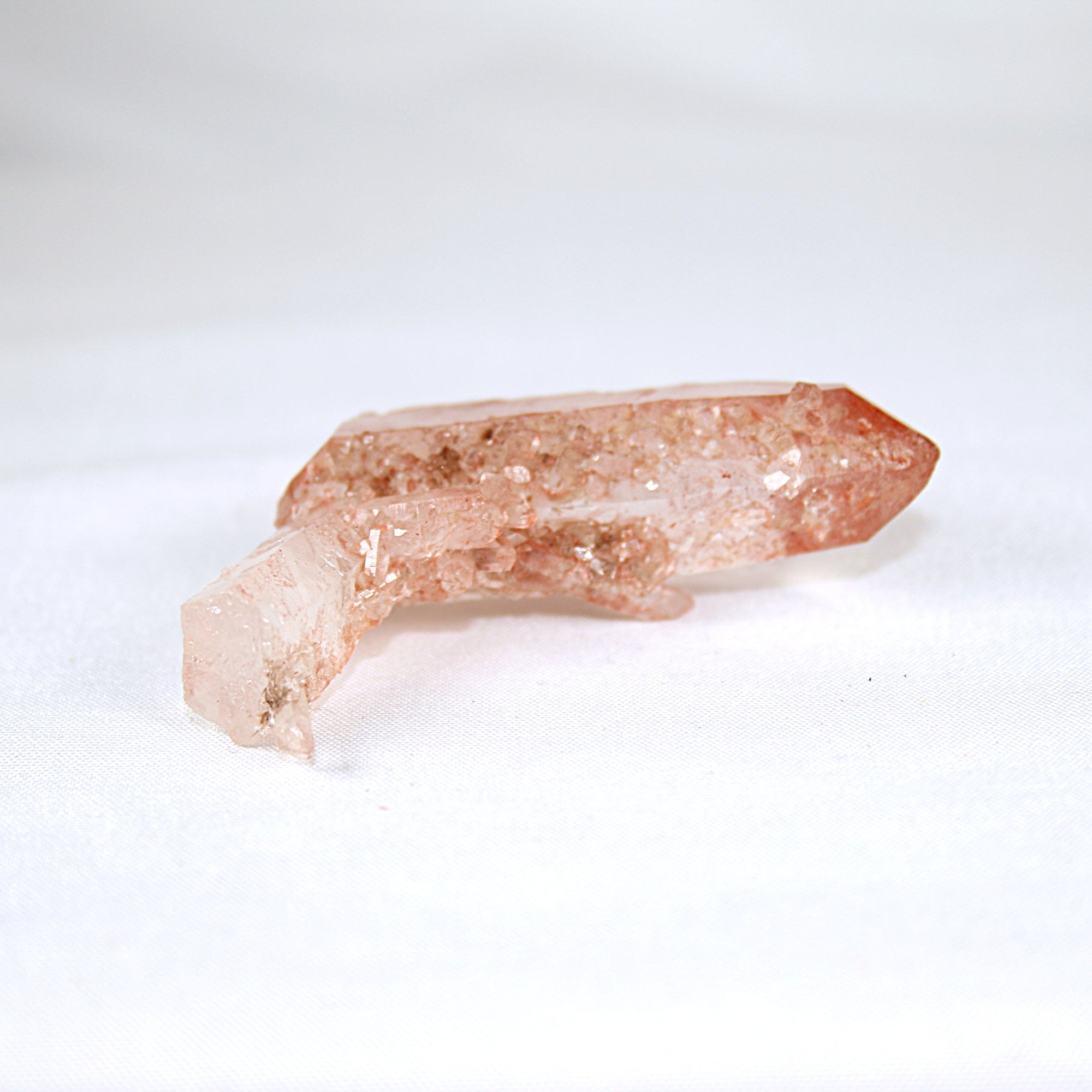Pink Lemurian