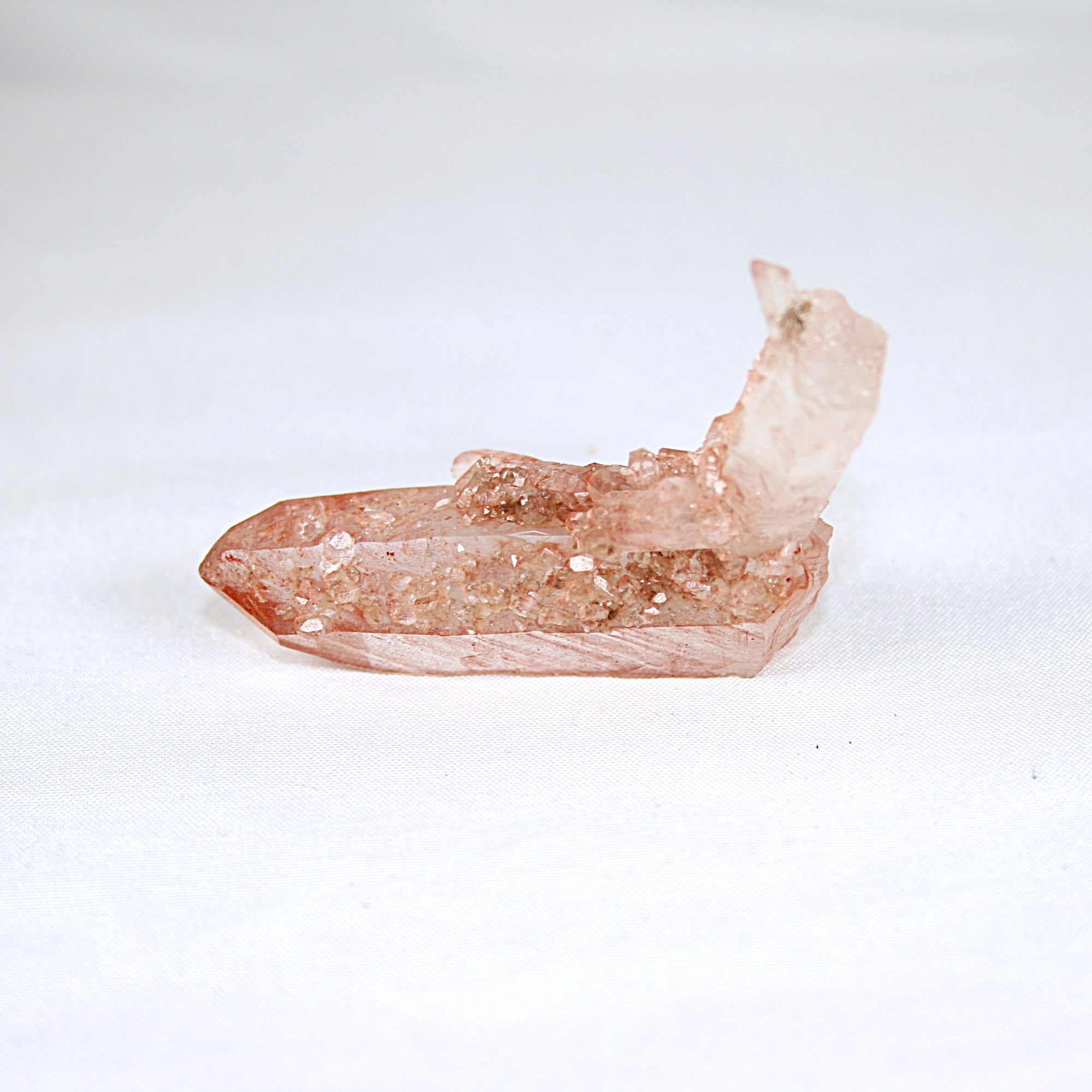 Pink Lemurian