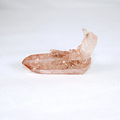 Pink Lemurian