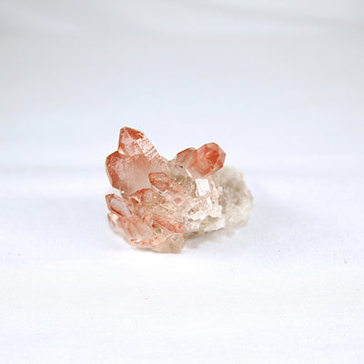 Pink Lemurian