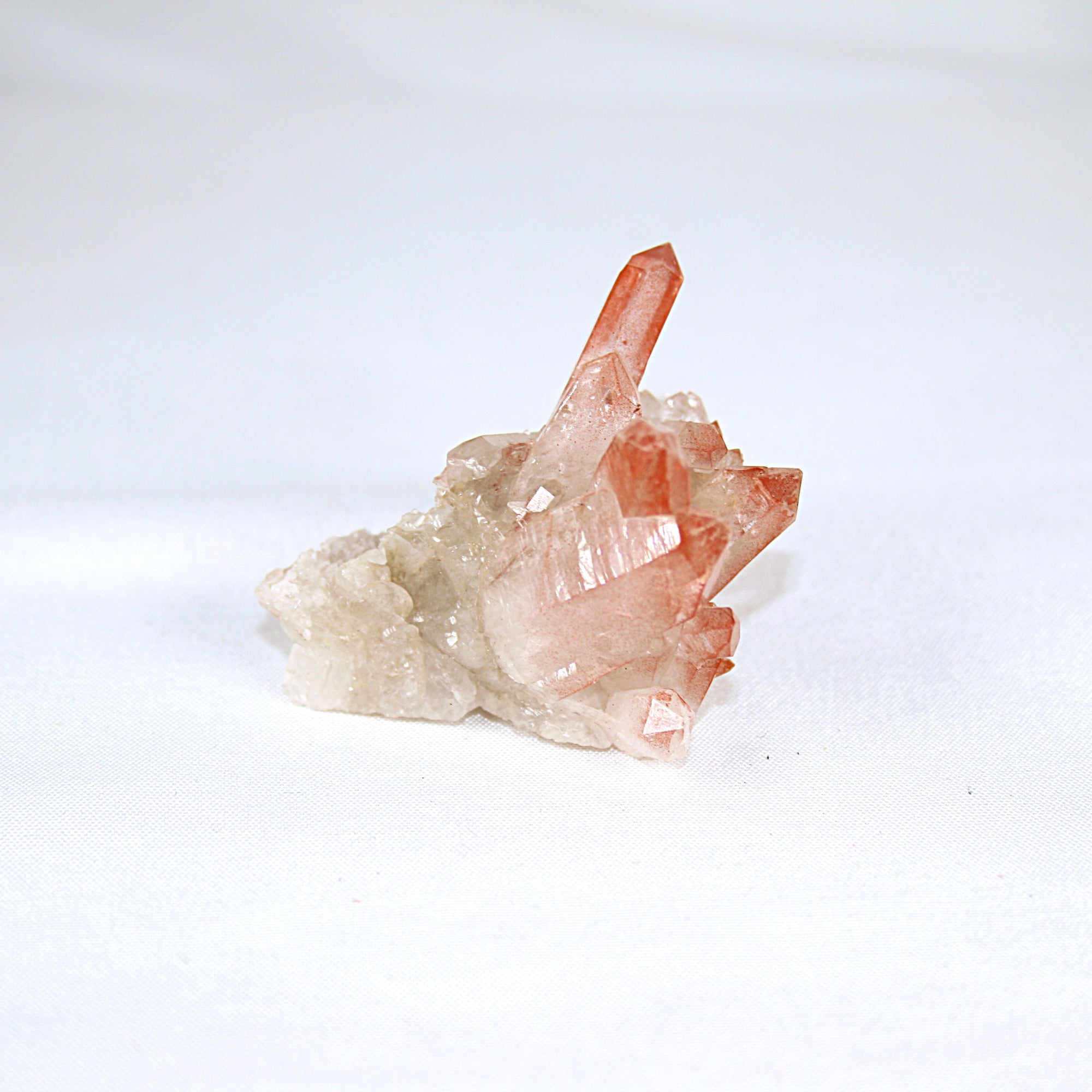 Pink Lemurian