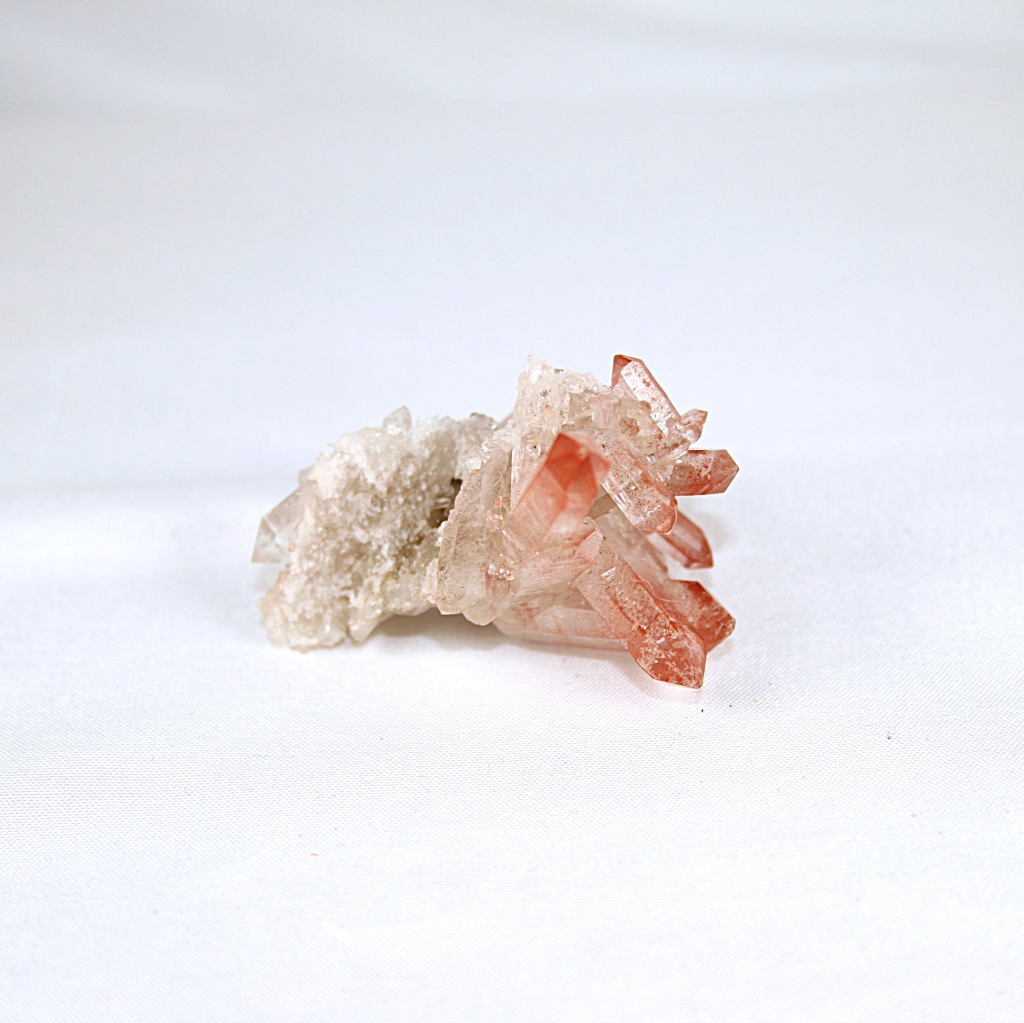 Pink Lemurian