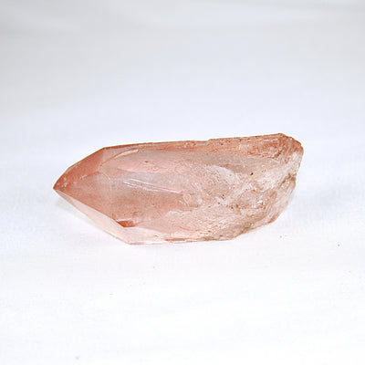 Pink Lemurian