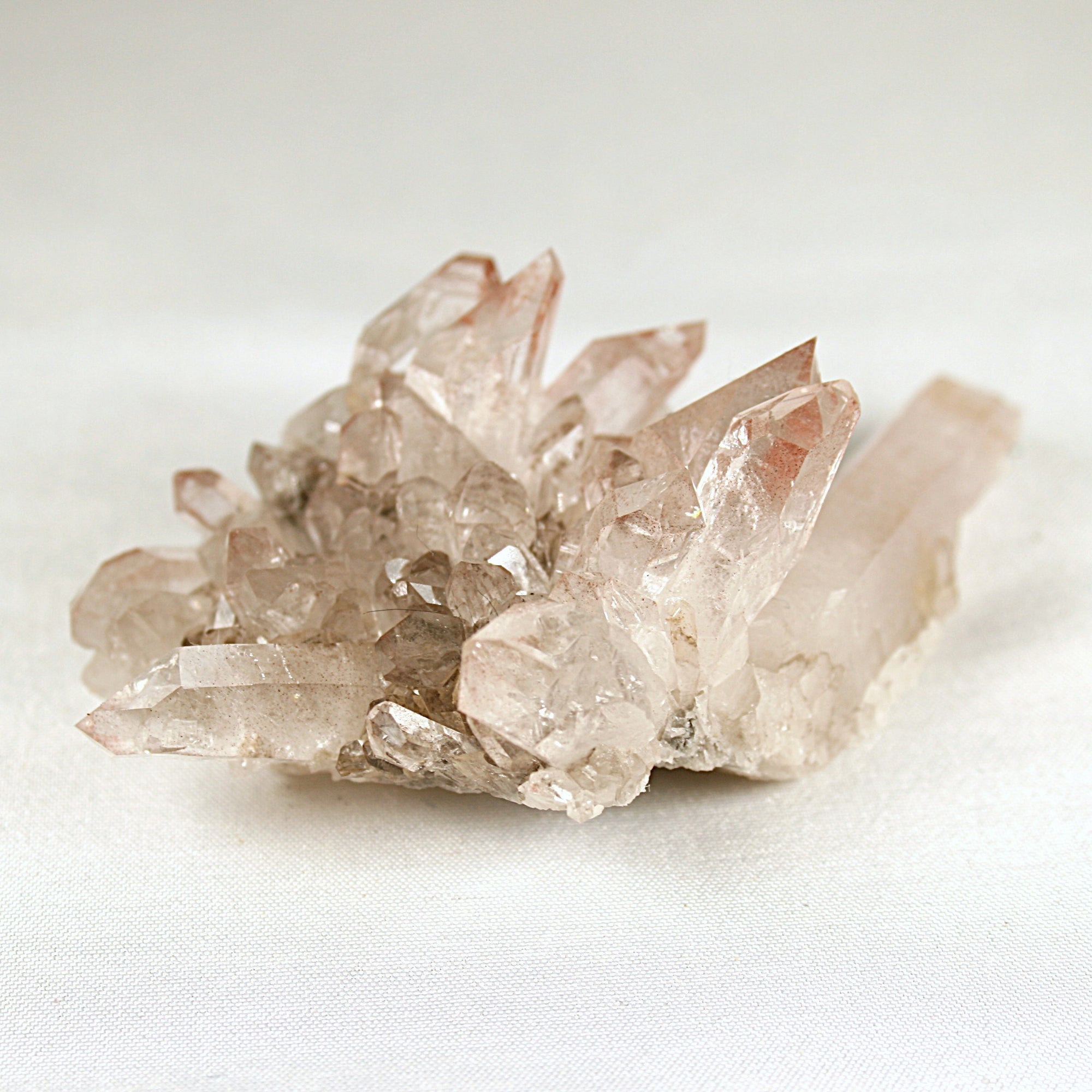 Pink Lemurian