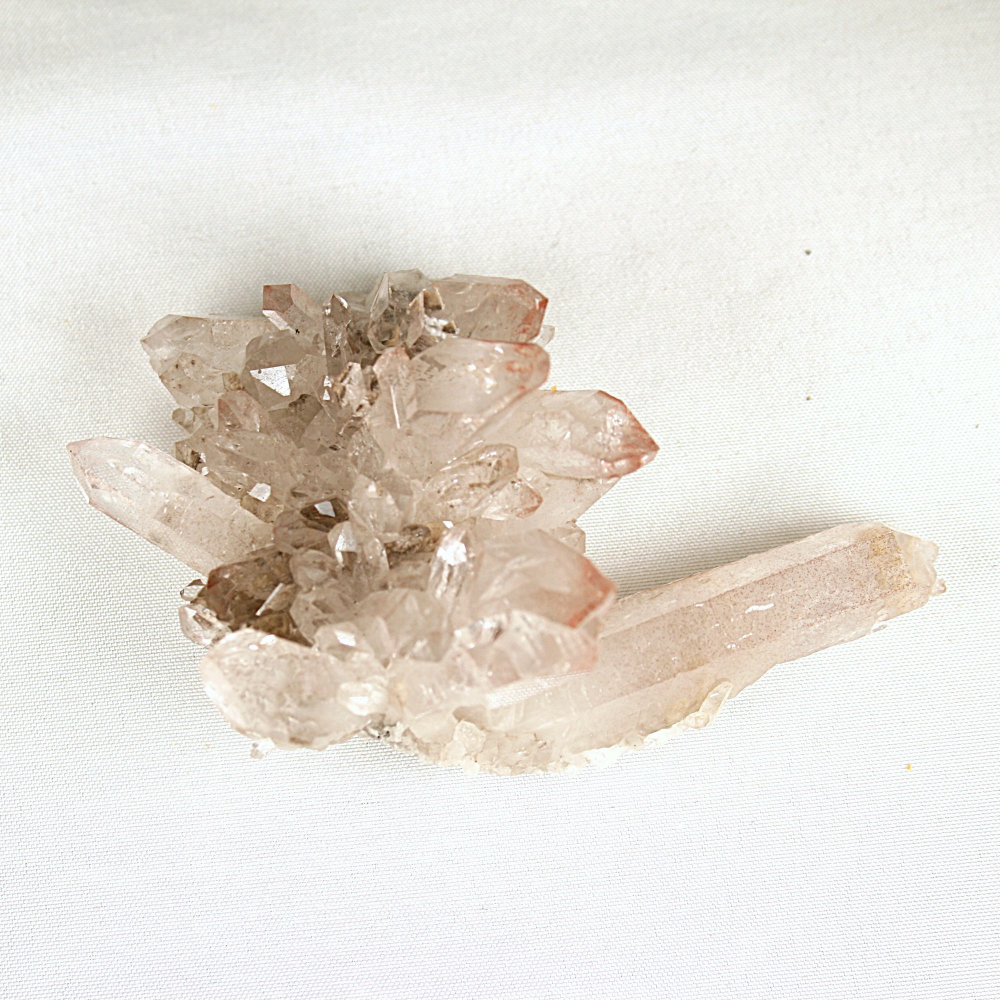 Pink Lemurian