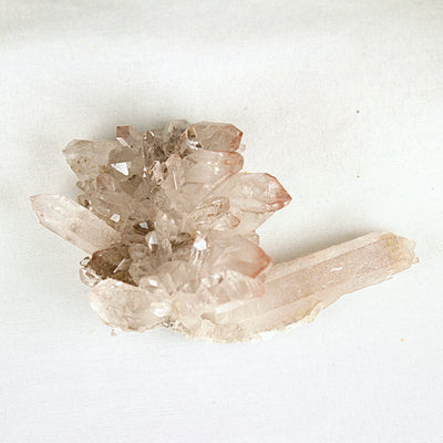 Pink Lemurian