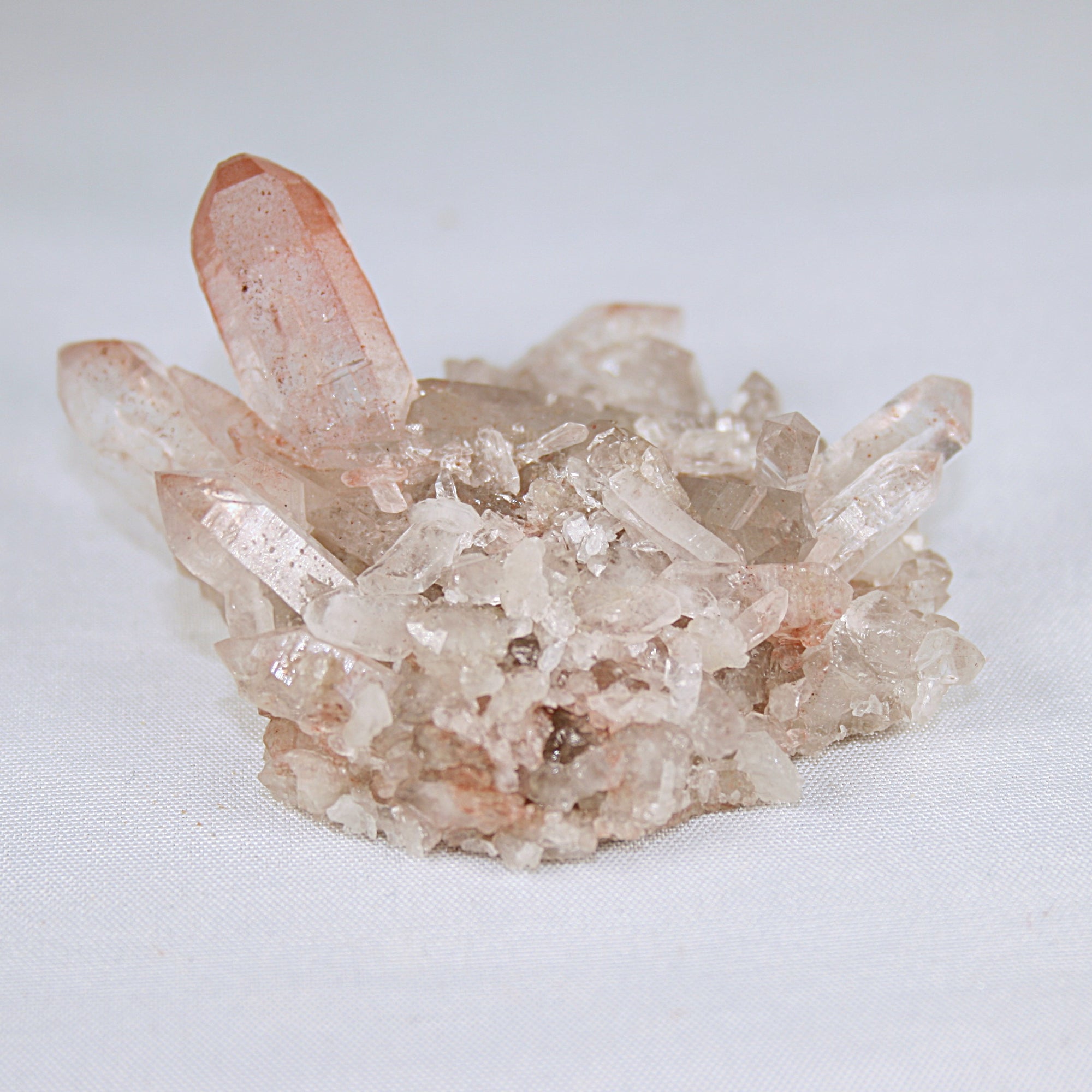 Pink Lemurian