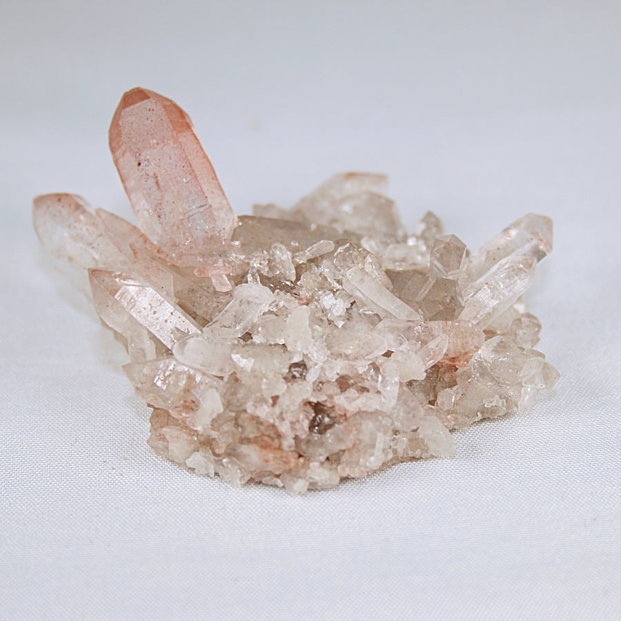 Pink Lemurian