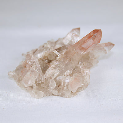 Pink Lemurian