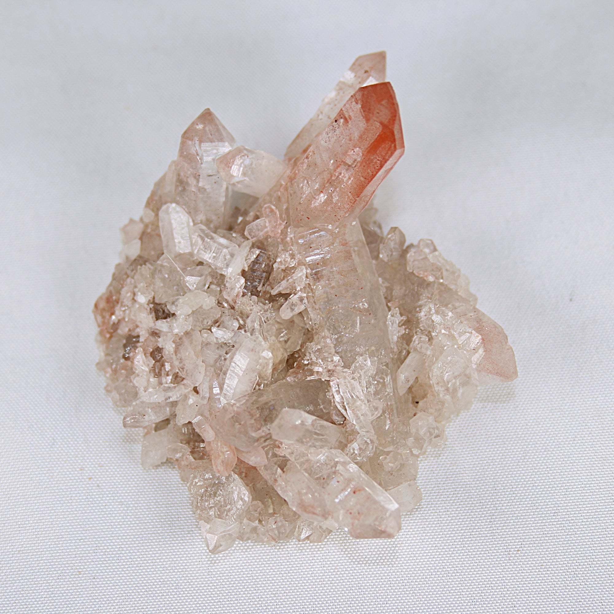 Pink Lemurian
