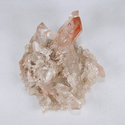 Pink Lemurian