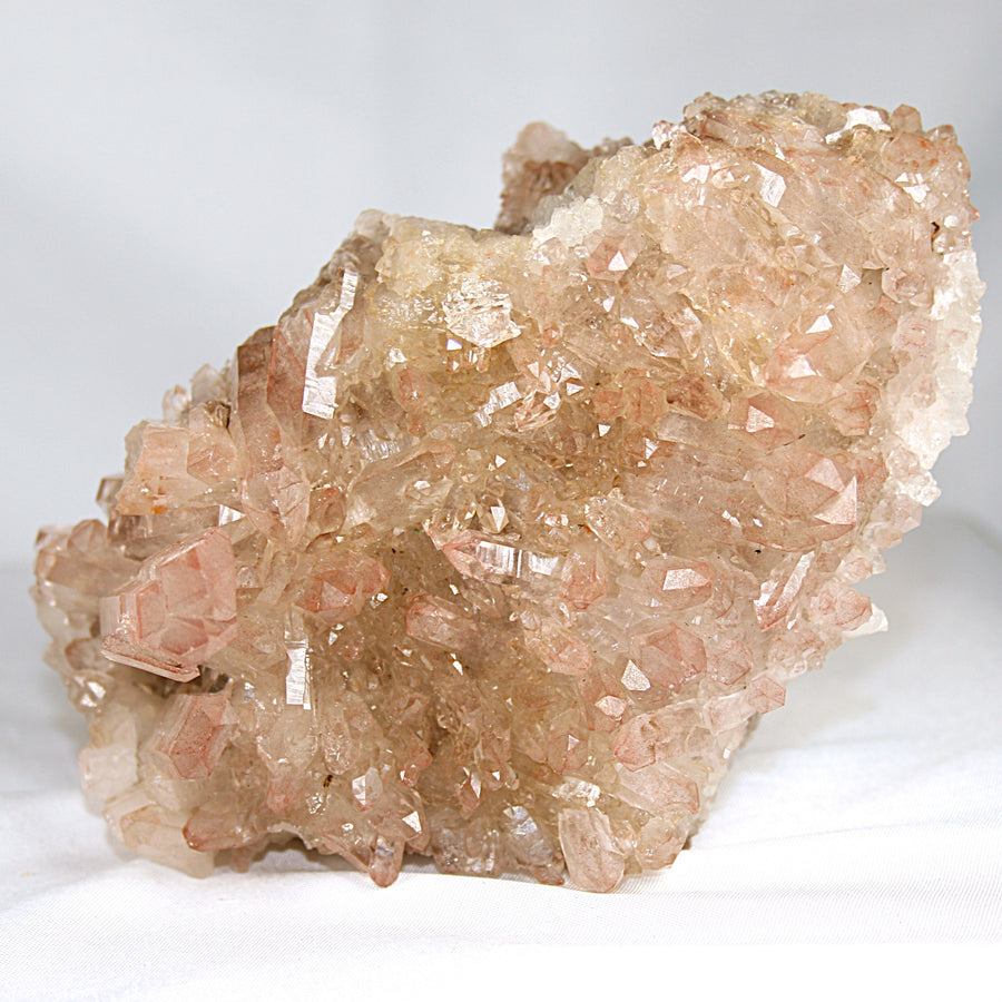 Pink Lemurian