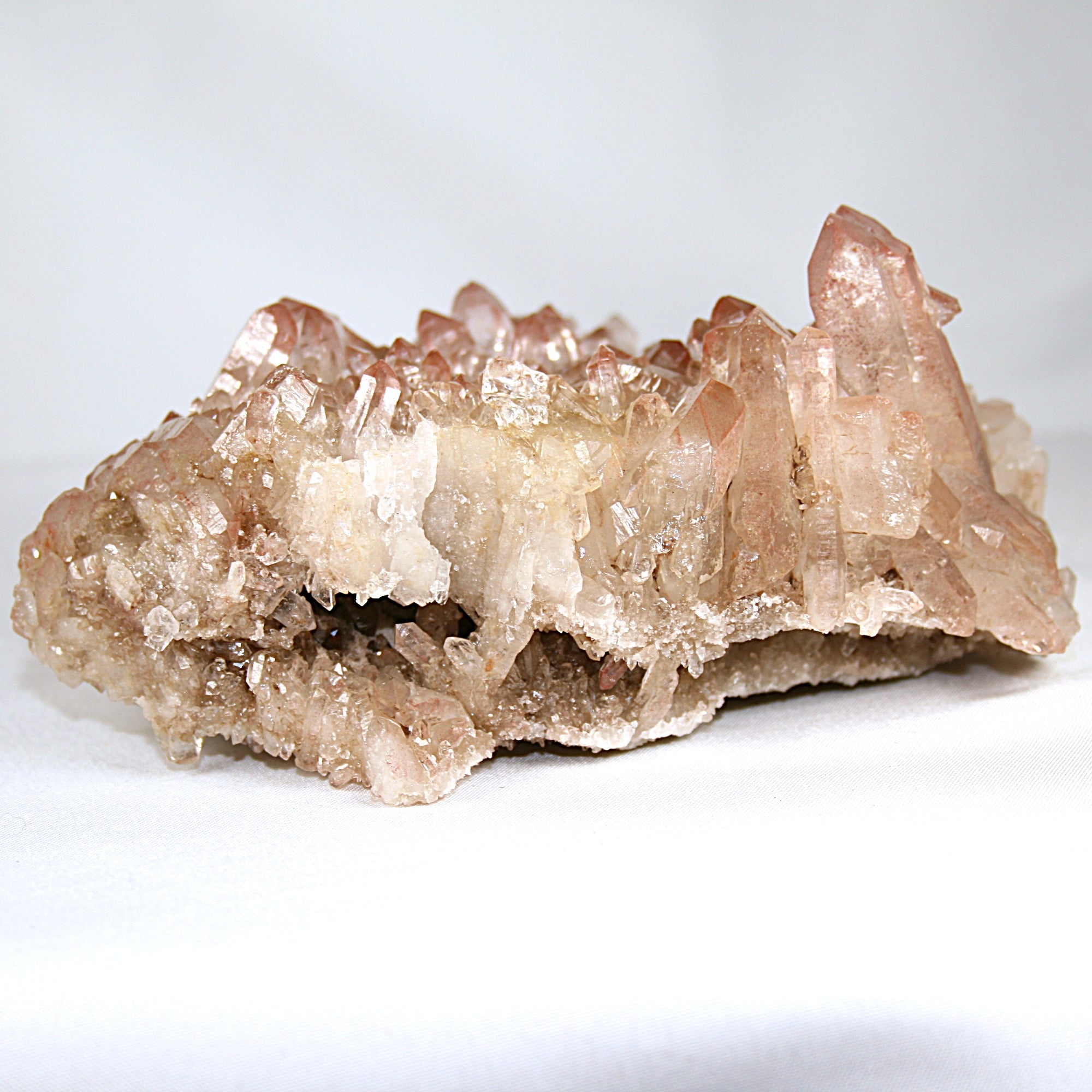 Pink Lemurian