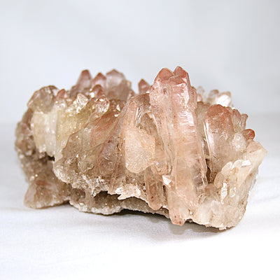 Pink Lemurian