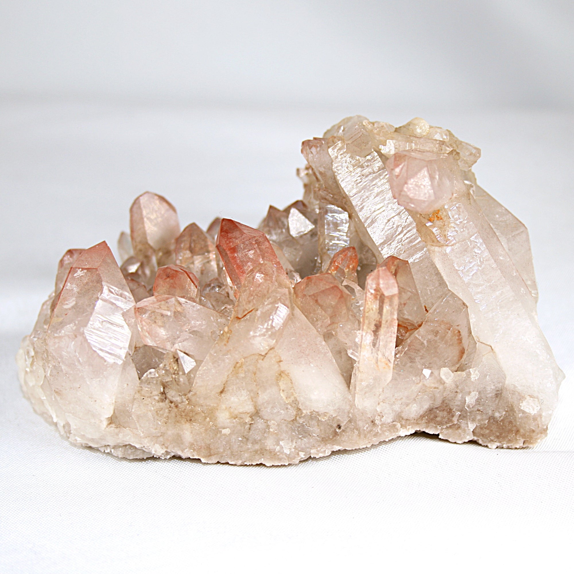 Pink Lemurian