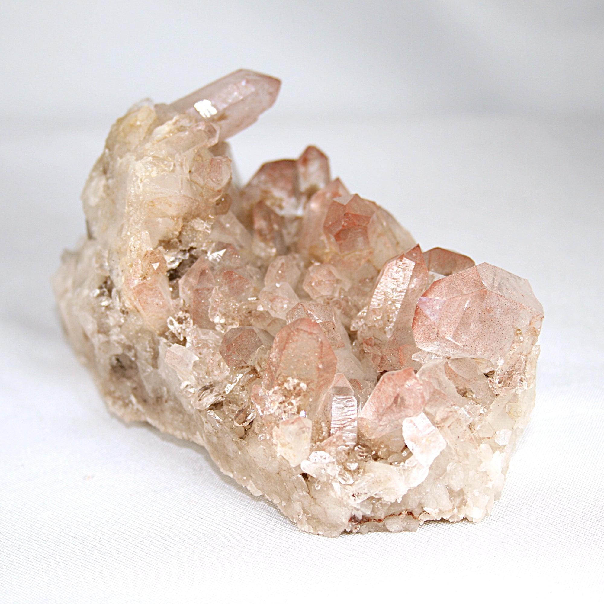 Pink Lemurian