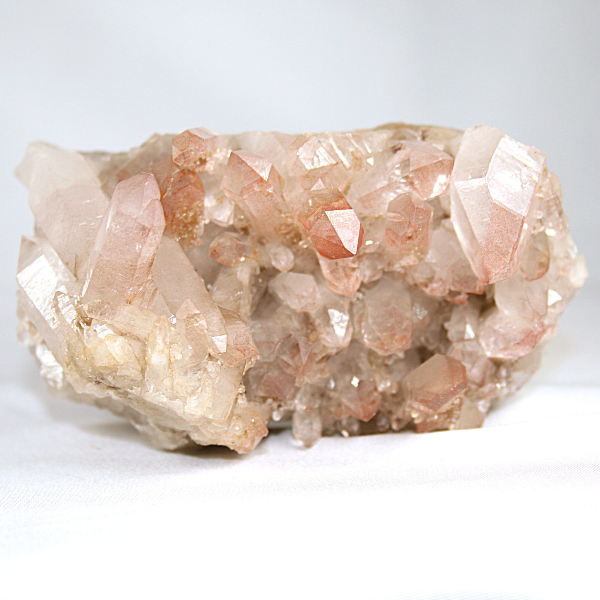 Pink Lemurian