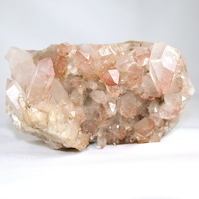 Pink Lemurian