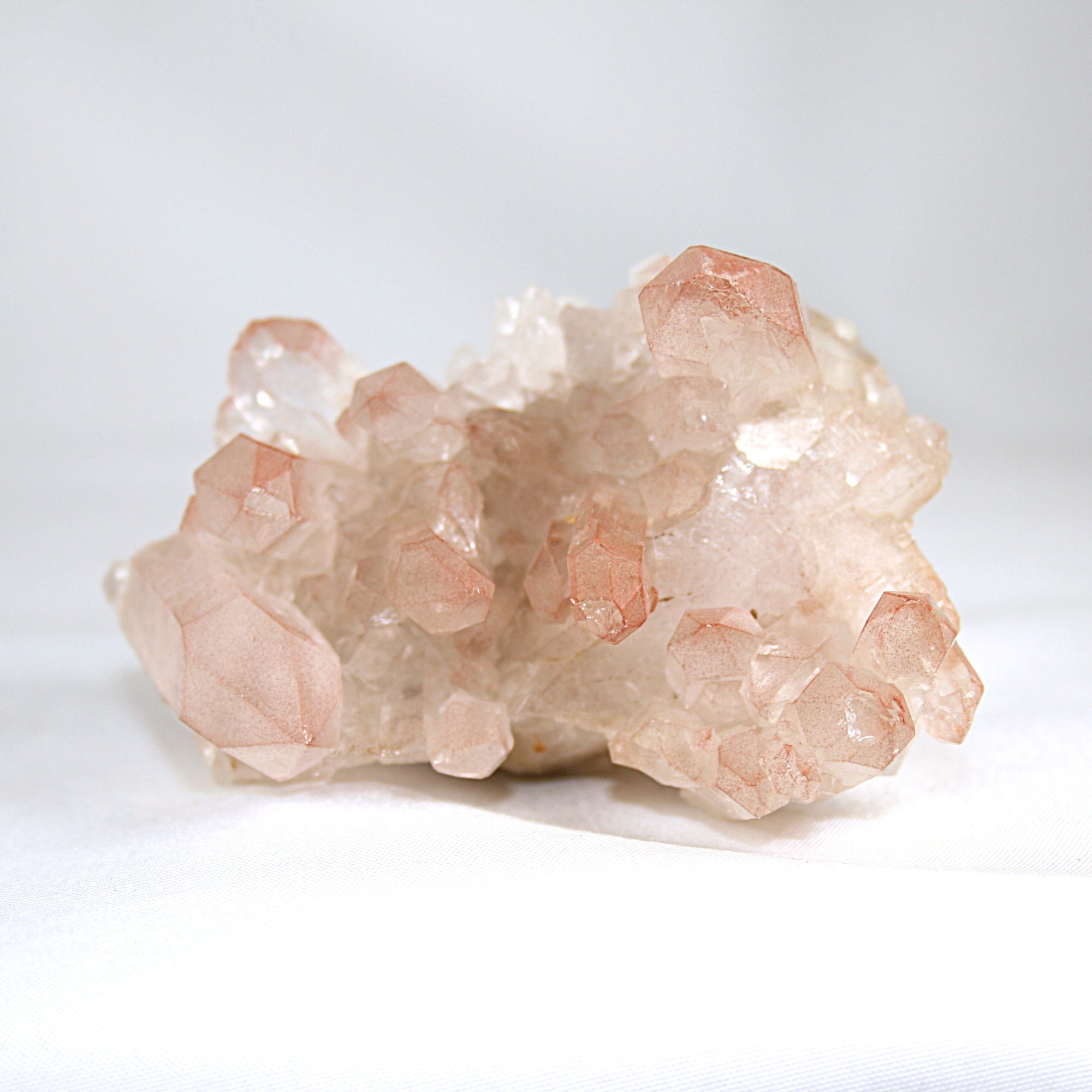 Pink Lemurian