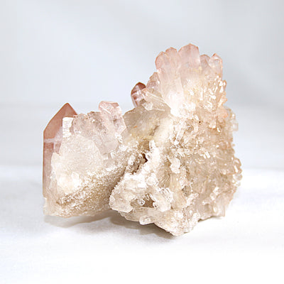 Pink Lemurian