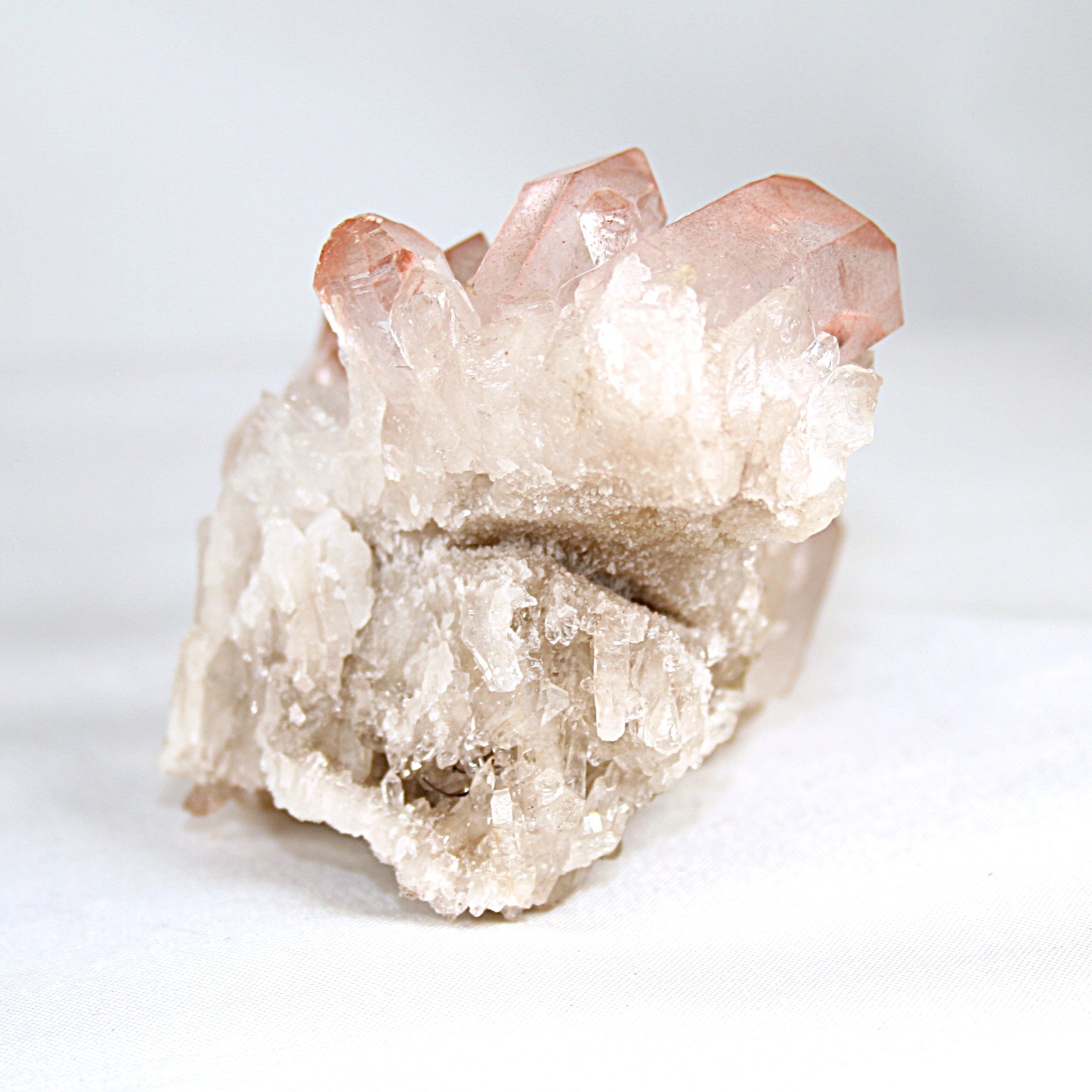Pink Lemurian