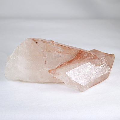 Pink Lemurian