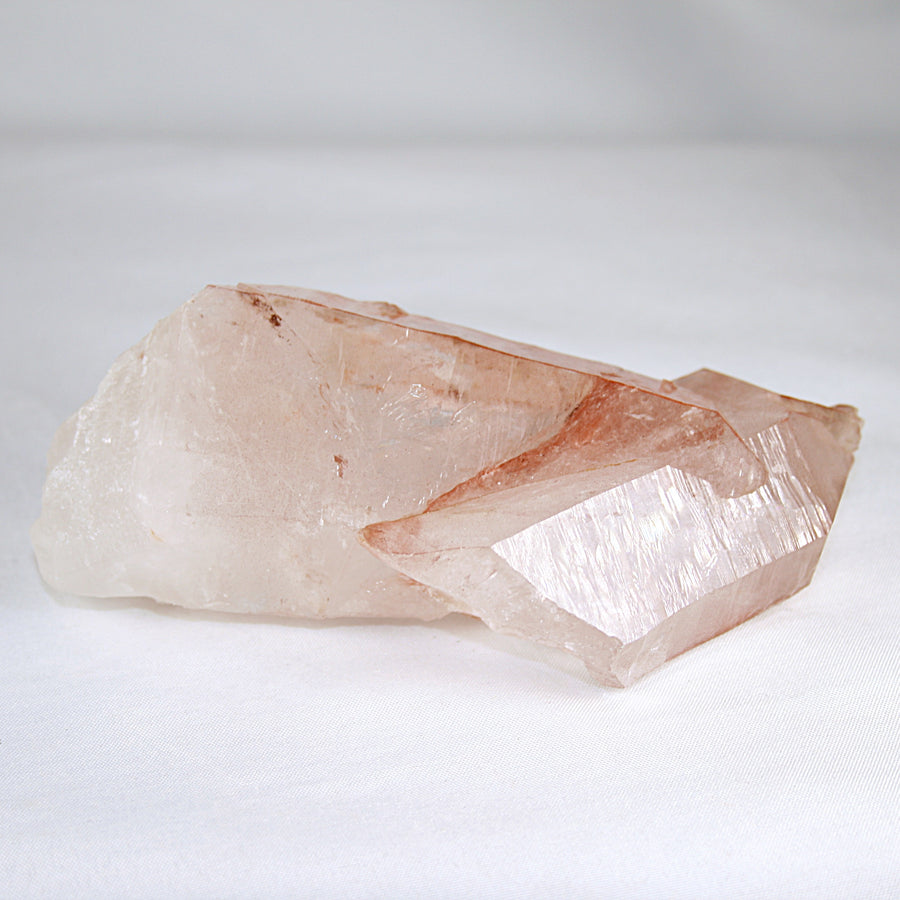 Pink Lemurian