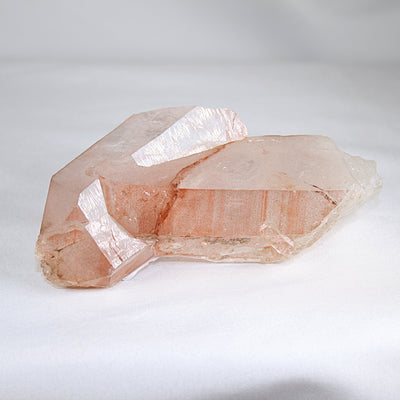 Pink Lemurian