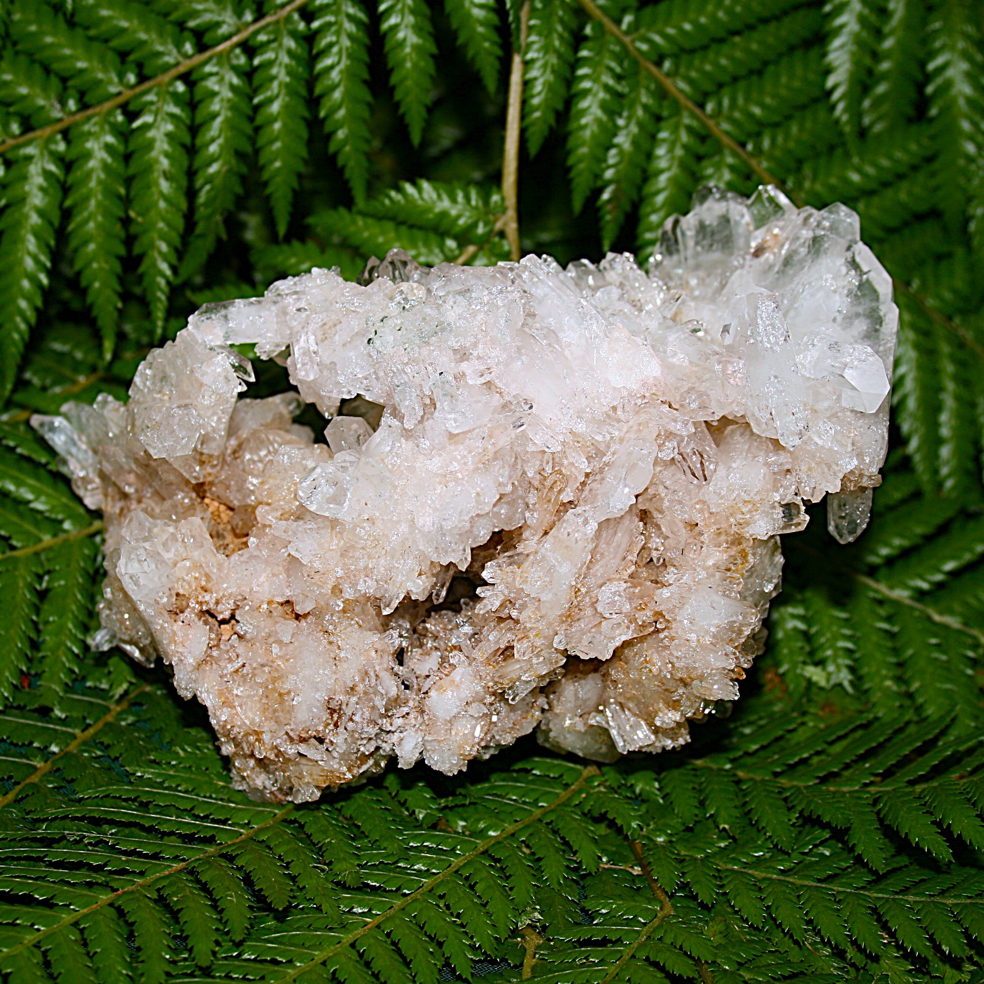 Lemurian Quartz Cluster