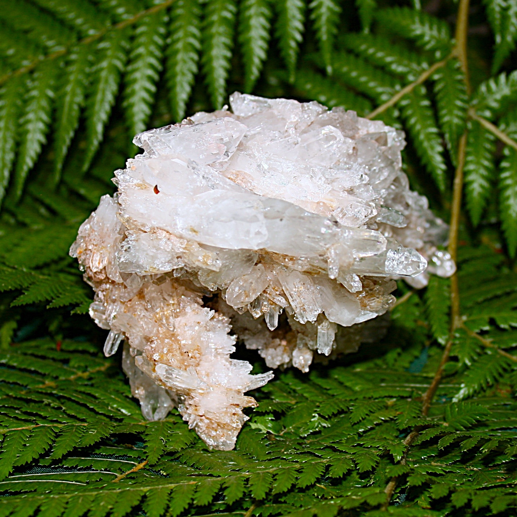 Lemurian Quartz Cluster