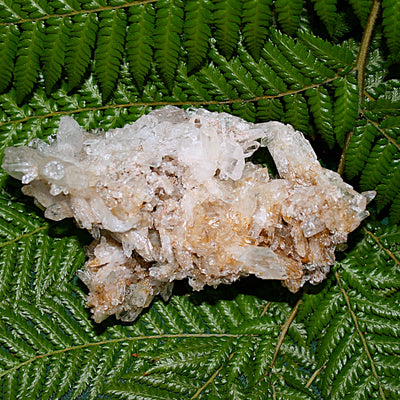 Lemurian Quartz Cluster