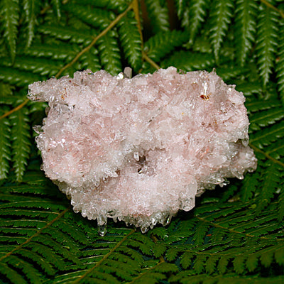 Lemurian Quartz Cluster