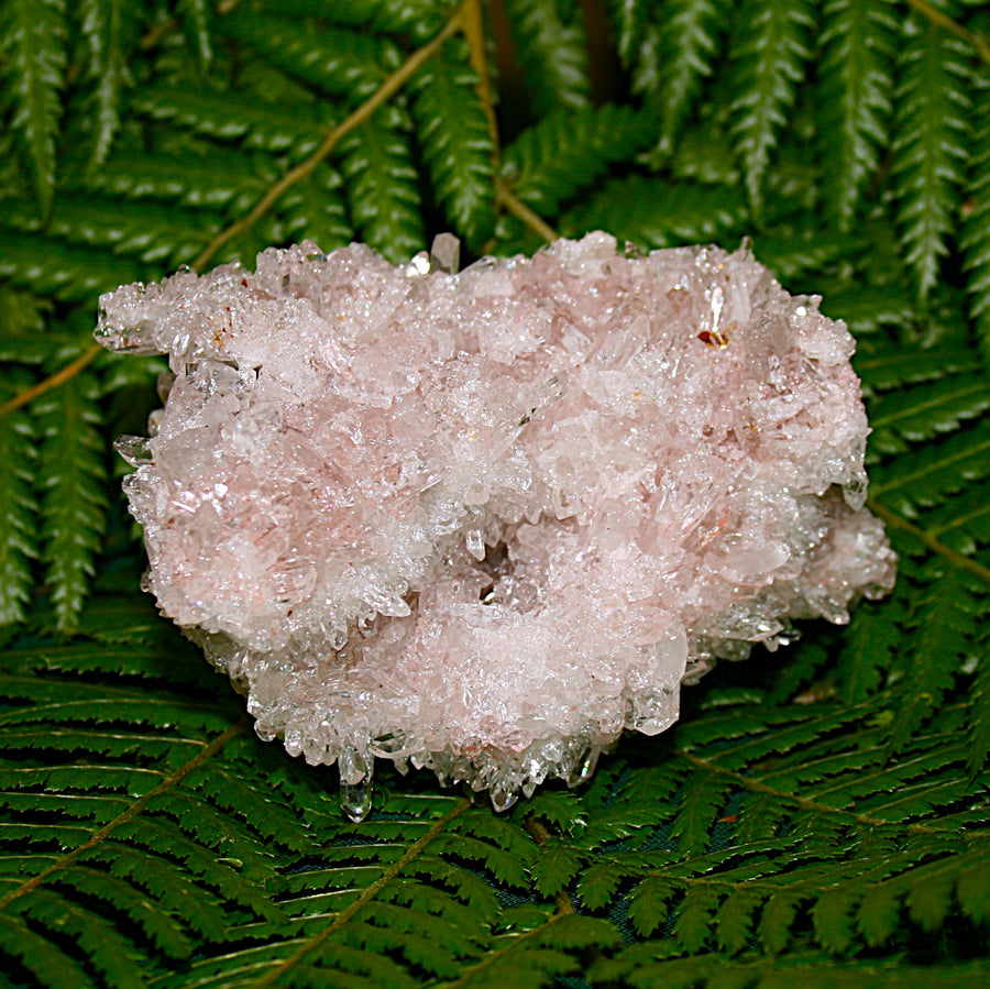 Lemurian Quartz Cluster