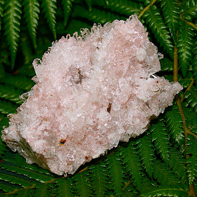Lemurian Quartz Cluster