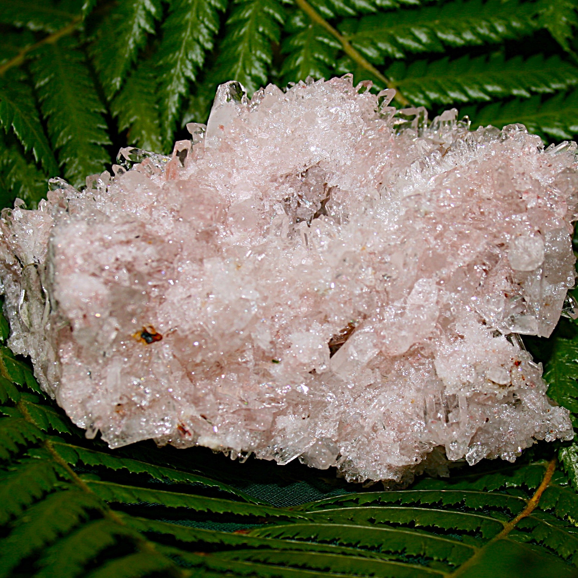 Lemurian Quartz Cluster
