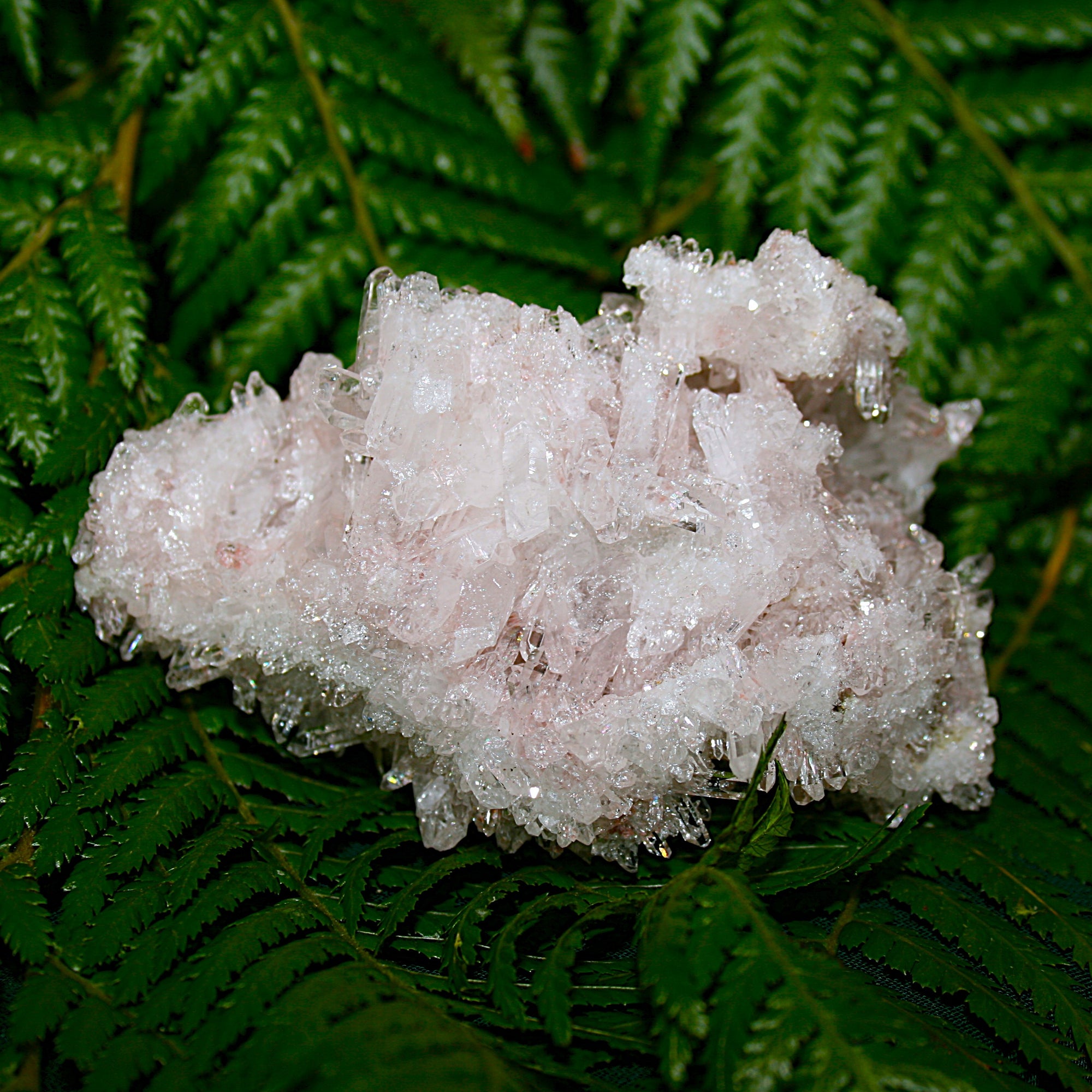 Lemurian Quartz Cluster