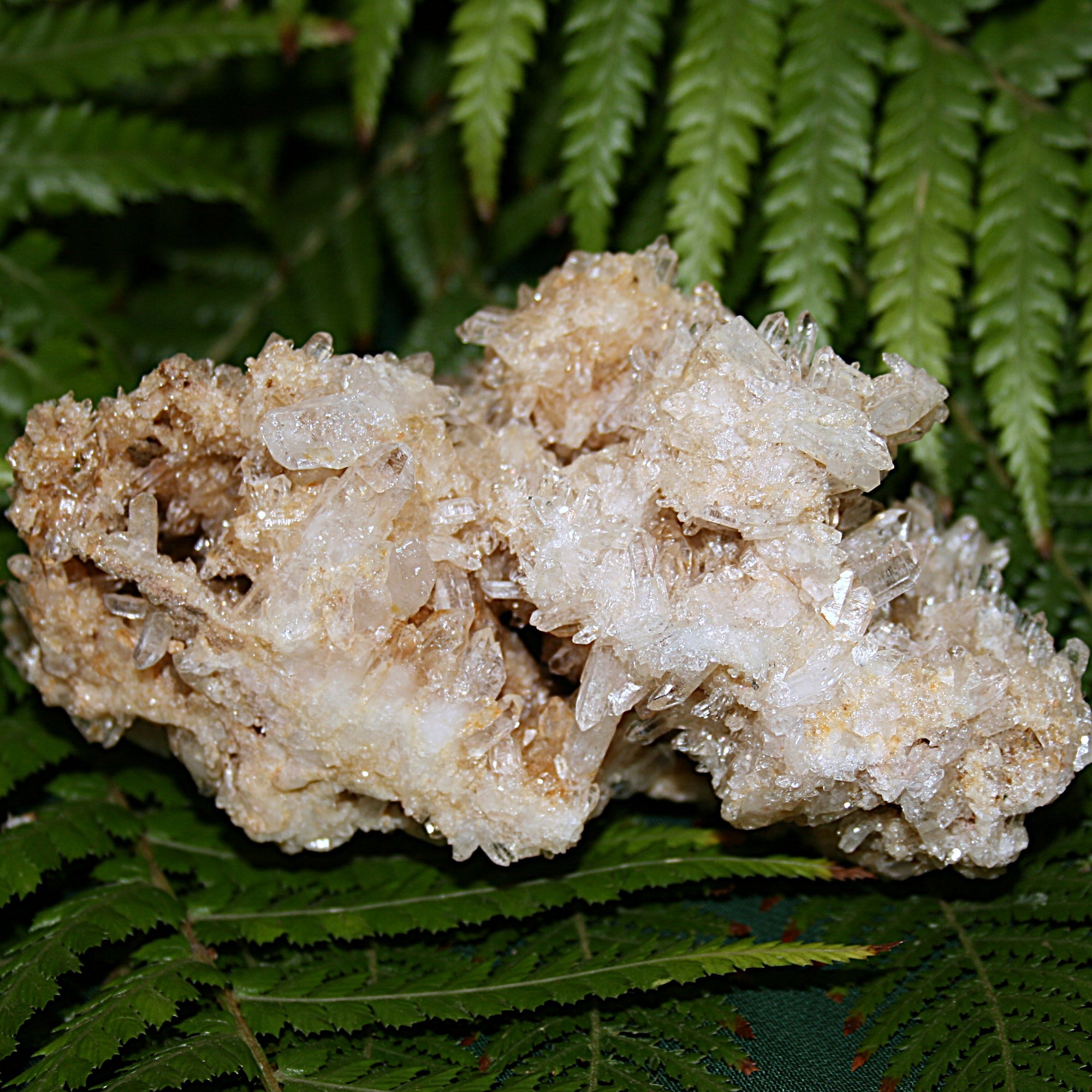 Lemurian Quartz Cluster