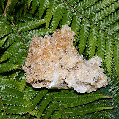 Lemurian Quartz Cluster
