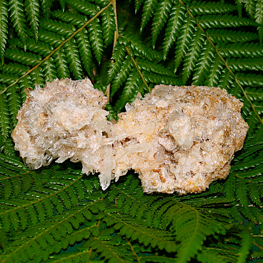 Lemurian Quartz Cluster
