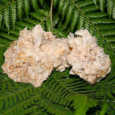 Lemurian Quartz Cluster