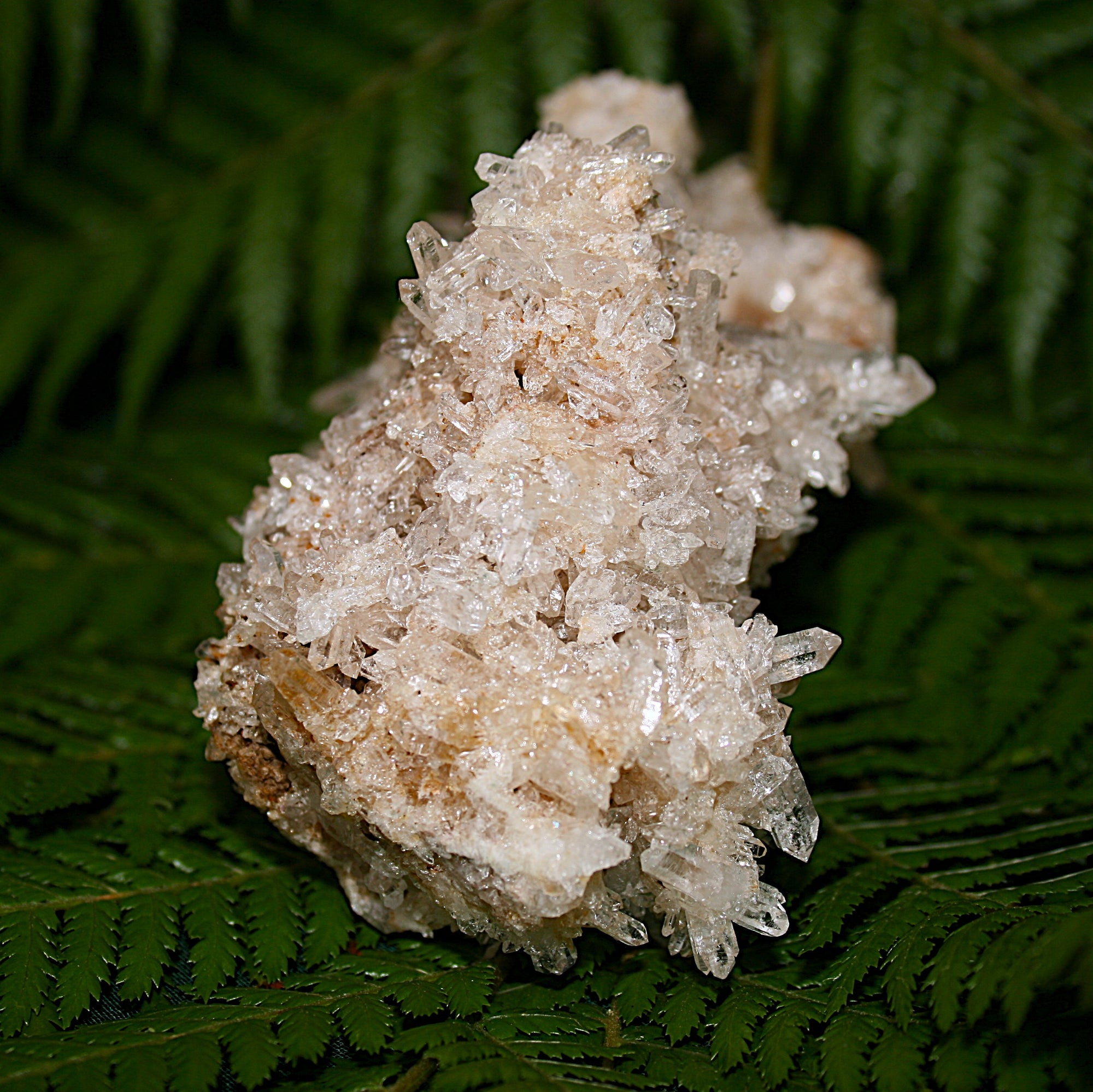 Lemurian Quartz Cluster